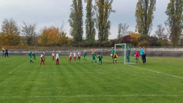 06.11.2016 SV Merseburg 99 vs. Germania Schafstädt