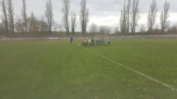 19.11.2016 SV Merseburg 99 vs. Merseburg-Meuschau