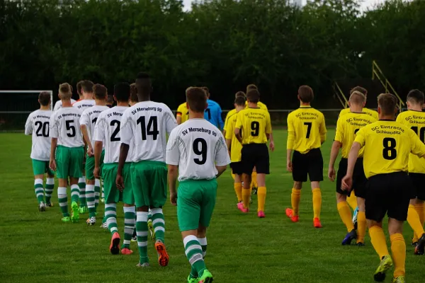 10.08.2016 SV Merseburg 99 vs. Eintracht Schkeuditz