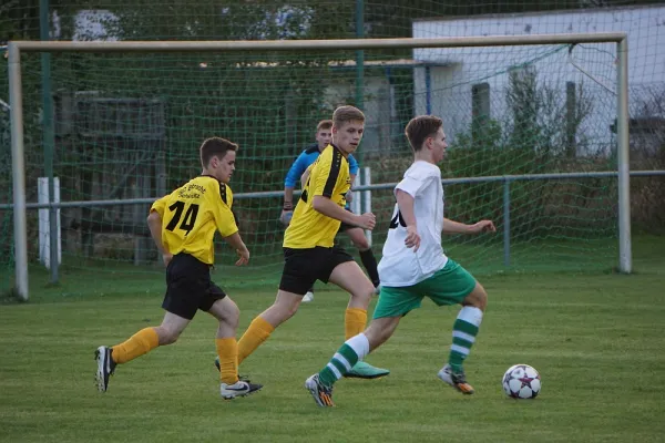 10.08.2016 SV Merseburg 99 vs. Eintracht Schkeuditz