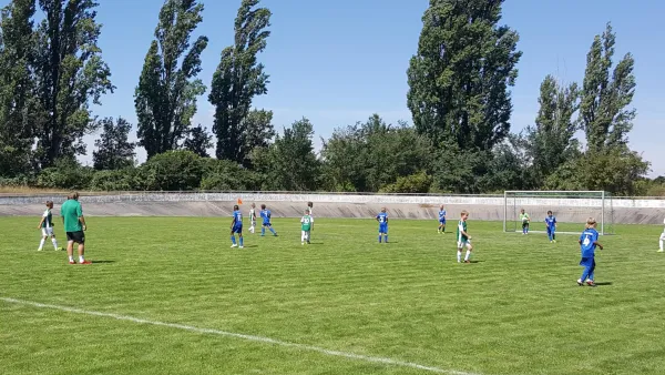 13.08.2016 SV Merseburg 99 vs. 1. FC Magdeburg